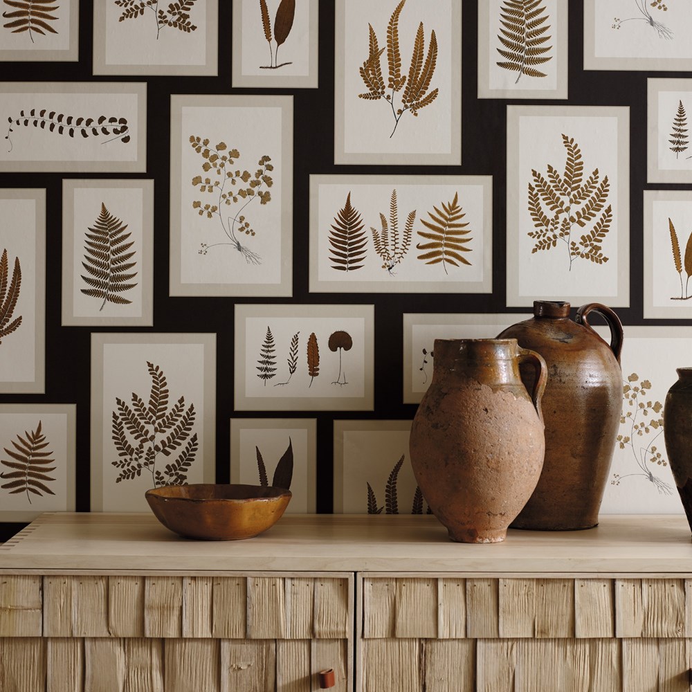 Fern Gallery Wallpaper 215713 by Sanderson in Charcoal Spice Brown